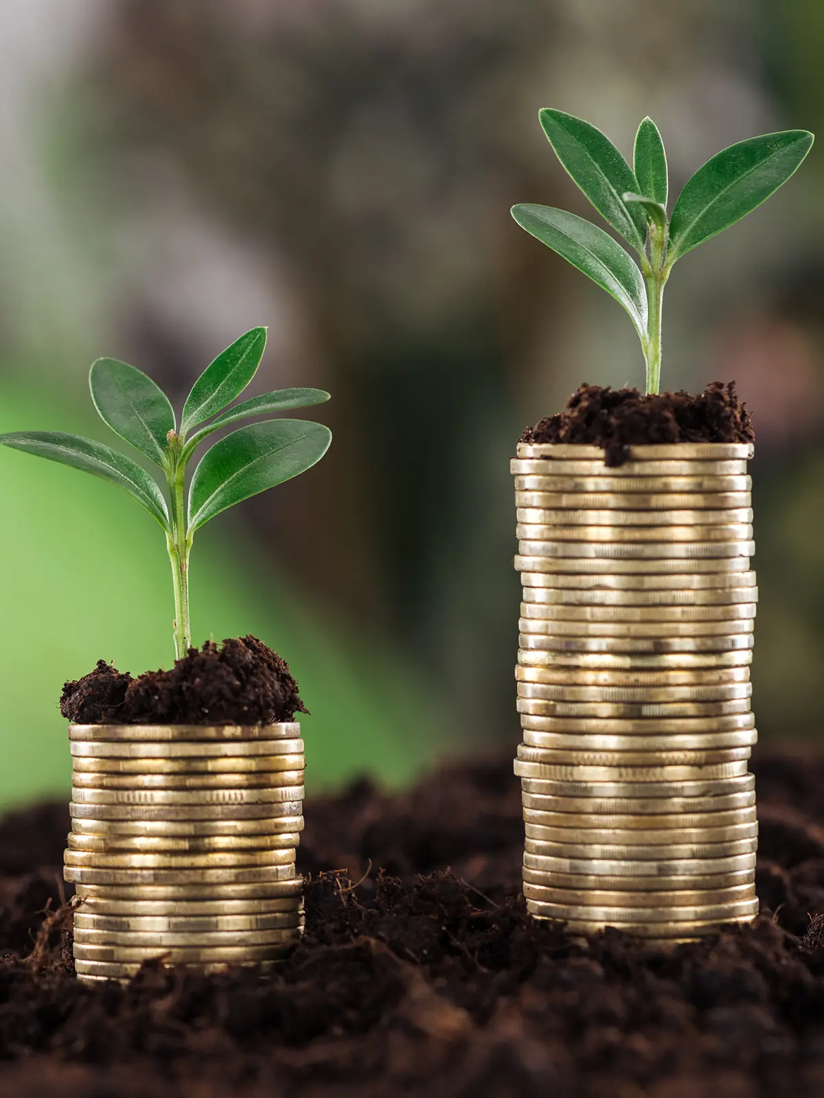 Multi-generational family representing estate planning and wealth transfer